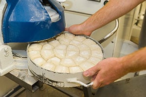 Bun Dividers Rounders